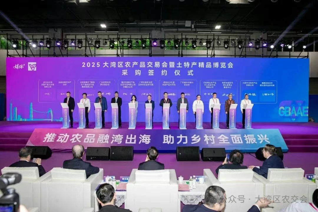 1765526800234854.png 1765526800234854.png