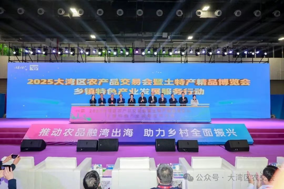 1765526842766172.png 1765526842766172.png