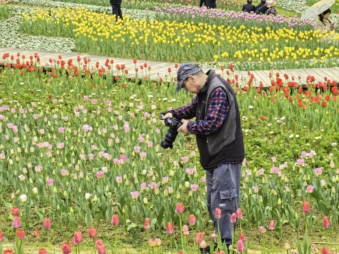 1773907890729722.png 1773907890729722.png